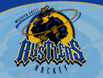 Wichita Falls logo